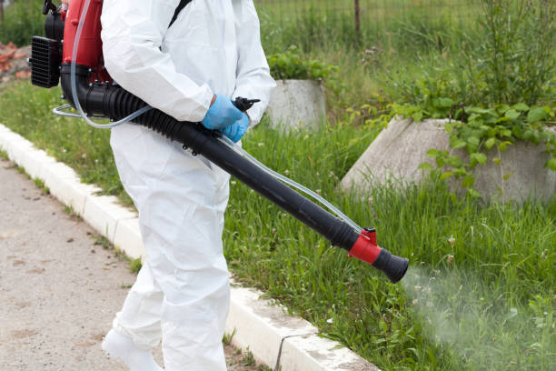 Man spraying disinfecting mosquitoes https://ecosafety.com.pk/